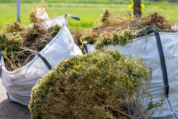 Best Basement Cleanout Services  in Columbus, NC