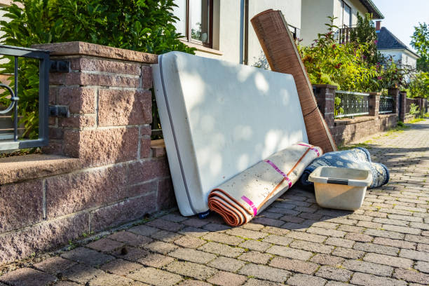Yard Cleanup Services in Columbus, NC